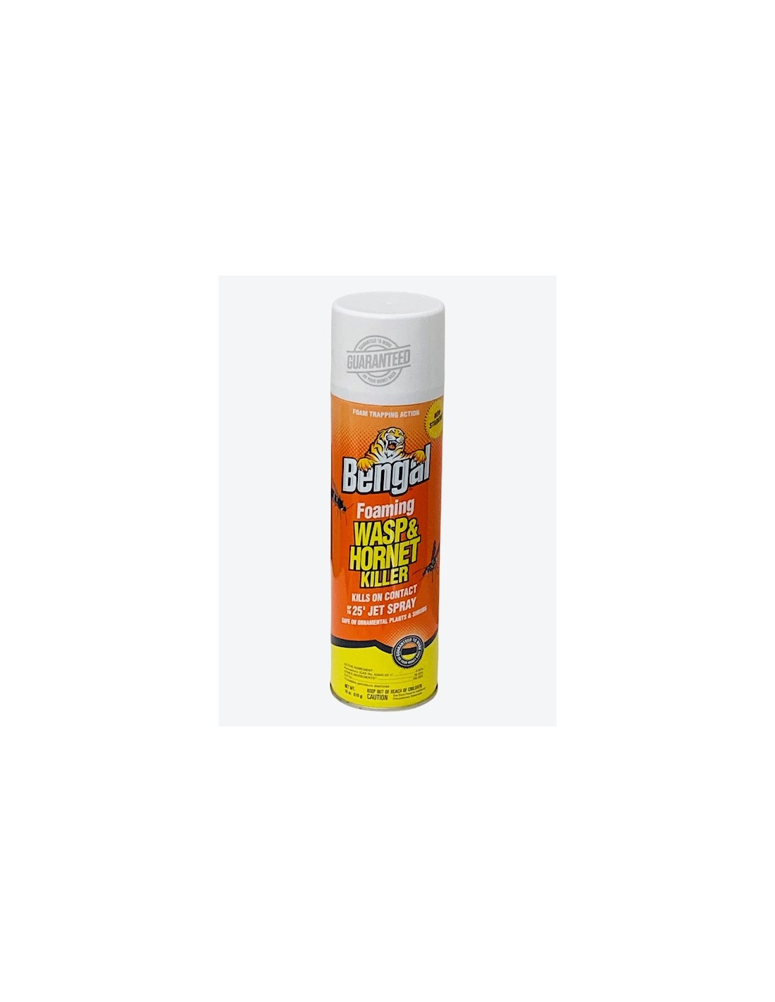 Bengal Foaming Wasp and Hornet Killer Questions & Answers