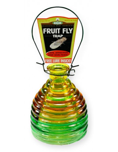 Glass Fruit Fly Trap Questions & Answers