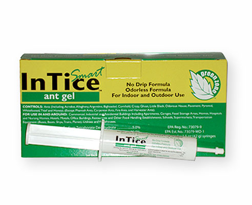 what is the shelf life of InTice Ant gel?