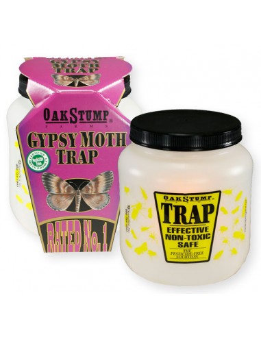 Gypsy Moth Trap Questions & Answers